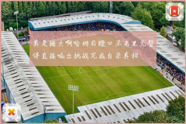 真是猪头啊哈姆目瞪口呆老里无暂停直接喊出挑战完成自杀真相