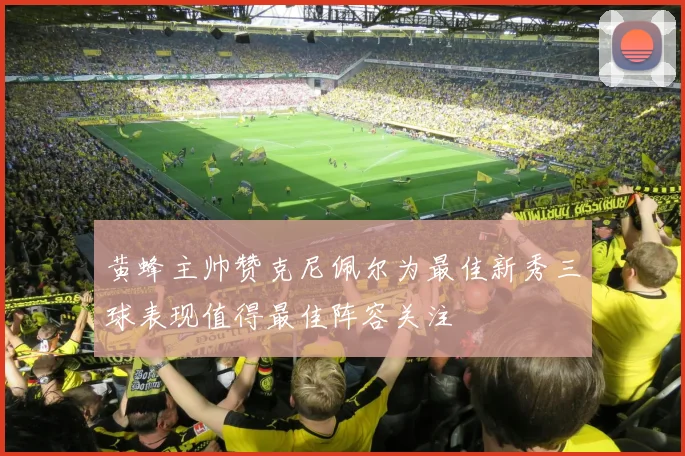 黄蜂主帅赞克尼佩尔为最佳新秀三球表现值得最佳阵容关注